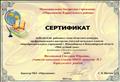 Сертификат победителя  районного этапа областного конкурса профессионального мастерства учителей начальных классов  "Мой лучший урок"(номинация "Русский язык")
